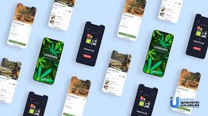 Browse our listings for local marijuana delivery services in your area. Cannabis Mobile App Development Guide Idea Usher