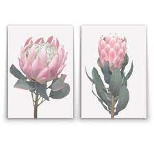 King Queen Protea Duo V2 0 2 X Wall Art Print Poster Canvas On Trend Protea Art Posters Art Prints Wall Art Prints