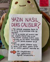 Yazin Nasil Ders Calisilir In 2020 Study Lesson