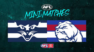 Read online books for free new release and bestseller Mini Match Geelong V Western Bulldogs Round 14 2021 Afl Youtube
