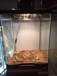Makeshift Terrarium For Venus Fly Traps