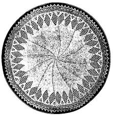 Find original free pattern on crochetncreate.com or read more about it on ravelry. Two Needle Doilies From 1917 Knitting And Com