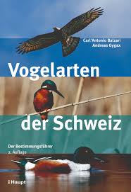 Das können unterschiedlich dicke äste sein, auch stämme. Vogelarten Der Schweiz Haupt Online Buchshop