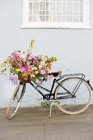 Spring Forward Sfgirlbybay Flowers Photography Beautiful Beautiful Flowers Flowers Photography