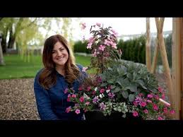 1 Container Inspiration X2f X2f Pink Amp Purple X2f X2f Garden Answer Youtube Container Gardening Garden Containers Plants