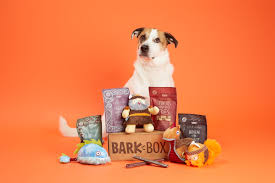 Great for senior cats with special needs and rabbits.usa. 24 Gifts To Spoil Dog Moms On Mother S Day Barkpost