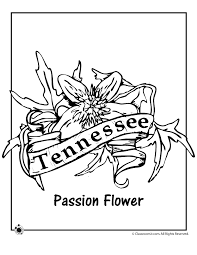 The coloringpages community on reddit. Tennessee State Flower Coloring Page Woo Jr Kids Activities Flower Coloring Pages Coloring Pages Free Coloring Pages