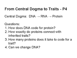 Proteins are made up of hundreds or thousands of smaller units. Welcome Back Take The First 5 Minutes Of