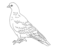Peace dove coloring pages dove of peace page printable coloring4free. Free Printable Pigeon Coloring Pages For Kids Pigeon Coloring Pages Animal Coloring Pages Bird Coloring Pages