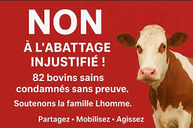 ŒIl De LYNX Photography added a... - ŒIl De LYNX Photography