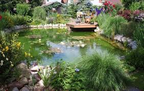 Sitzplatz Am Teich In 2020 Gartenteich Bepflanzen Gartenteich Gartenteich Gestalten