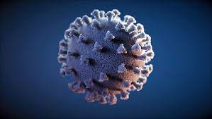 Spedizione gratuita per ordini superiori a 25 euro. Possible Active Compounds Against Coronavirus Identified Universitat Hamburg