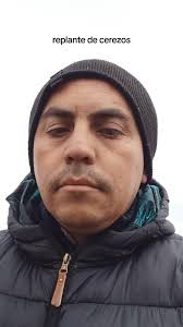 Vídeos de hugo manuel avendaño (@hugomanuelmundocerezos) con «sonido  original