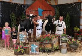2017 Minnesota State Holstein Show