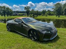 Image result for Nori Green 2021 LC