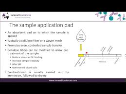 Just little or no laboratory skills and instrumentation is necessary to carry out such tests. Lateral Flow Webinar A Guide To Lateral Flow Immunoassay Development Youtube