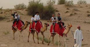 I even managed to stroke the camel behind me. Up To 40 Off Evening Desert Safari With Bbq Dinner Tanoura Belly Dance Show Klook India
