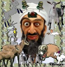 Check spelling or type a new query. Best Bin Laden Is Dead Gifs Gfycat