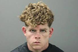 Clinton David Brin and his wife, Cristen Amanda Brink, were "fatally  attacked" while out hiking with their two daughters at Devil's Den State  Park, police said.