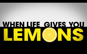 Robin Celebi Filmmaker