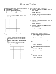 What are the phenotypic ratios of the offspring? Dihybrid Cross Worksheet