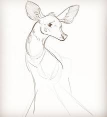 Pin By Noah Eisenman On Star Wars Animal Drawings Drawings Animals