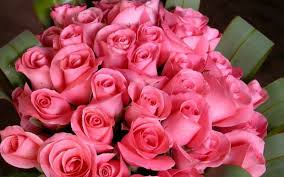 The Most Beautiful Pink Rose The Most Beautiful Flower Wallpapers Of The World Wedding Flowers Roses Blue Wedding Flowers Red Wedding Flowers