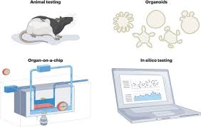 Researchers and regulators plan for a future without lab animals
