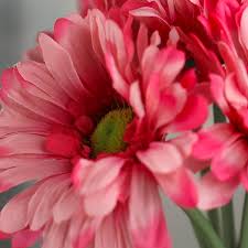 Maybe you would like to learn more about one of these? Pink Artificial Gerbera Daisy Bundle Bushes Bouquets Floral Supplies Craft Supplies Factory Direct Craft