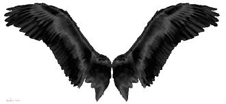 Black angel wings isolated on white background. Hinoko Seiko The United States S Comments From Angels Amp Demons The Fallen Theological Rp Showing 21 37 Of 37