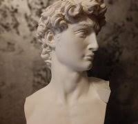 david michelangelo bust" 3D Models to Print