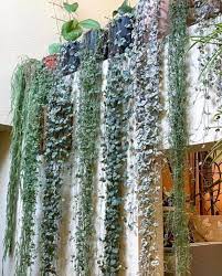 Pin On Houseplant Inspiration