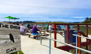 Maybe you would like to learn more about one of these? The Birds Cafe Bodega Bay Sonoma Magazine
