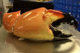 Maybe you would like to learn more about one of these? Best Stone Crab In Florida Winners 2019 Usa Today 10best