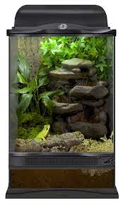 There is a substrate of. 12x12x18 Zoo Med Terrarium Setup For A Tree Frog Diy This Terrarium With A Reptirapids Led Small Rock Waterfall Cork Tree Frog Terrarium Tree Frogs Pet Frogs