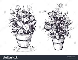 Image Result For Sketches Of Flowers In A Flower Pot Flower Sketches Illustration Flower Pots