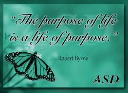 Everyone looks for a little wisdom and inspiration now and then, even celebrities. 16 Famous Quotes That Capture The Heart And Spirit Of Funeral Service Work