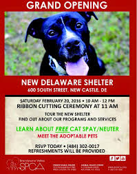 Meet bolt, a doberman pinscher dog for adoption, at delaware valley doberman pinscher assistance in phoenixville, pa on petfinder. Faithful Friends Staff Faithful Friends Animal Society Facebook
