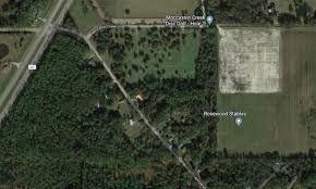 Adult Actor Sebastian Young Aka Joshua Noles Id D As Victim In Fatal Florida Police Involved Shooting Wednesday Thecount Com