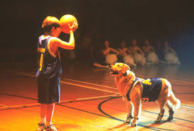 The big lebowski and avengers: Watch Air Bud On Netflix Today Netflixmovies Com