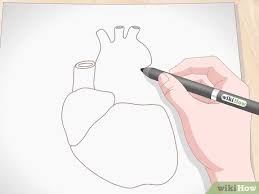 How to draw an impossible heart optical illusion easy step by. How To Draw A Human Heart With Pictures Wikihow