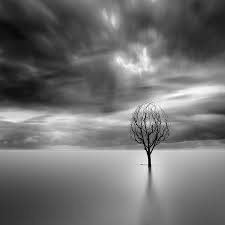 Best Black And White Nature Photographers Minimalist Photographer Captures Dramatic Depth Of Nature In Black And White Fine Art Landscape Photography Black And White Landscape Fine Art Landscape