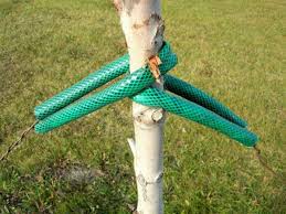 We did not find results for: How To Recycle Or Reuse An Old Garden Hose Feltmagnet