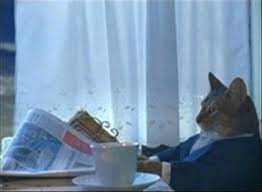 pix Cat Reading Newspaper Meme Blank