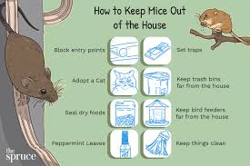 Maybe you would like to learn more about one of these? How To Keep Mice Out Of The House