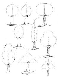 Cahide Keskiner Minyatur Sanatinda Doga Cizim Ve Boyama Teknikleri Belirli Formlar Icinde Degisik Agac Cizimleri Minyaturler Tezhip Desenler
