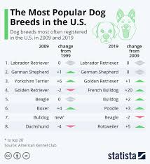 Chart The Most Popular Dog Breeds In The U S Statista