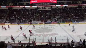 Bears Vs Falcons Picture Of Giant Center Hershey