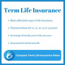 Term Insurance Rates By Age With Sle Quotes Ages 20 79 Insurancerates Term Insurance Term Life Insurance Rates Life Insurance Rates