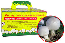 Jeśli zauważymy pleśń w doniczce, koniecznie musimy się jej pozbyć! Pieczarka Biala Grzybnia 5kg Gotowe Podloze Pieczarki Bialej Grzyby W Domu I Ogrodzie Semer Sklep Ogrodniczy